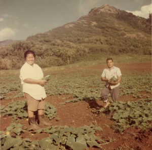 The First Kamiya Farmers